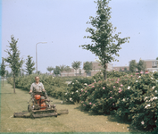 824482 Afbeelding van een medewerker van de gemeentelijke plantsoenendienst met een Locke-motorgrasmaaier in een ...